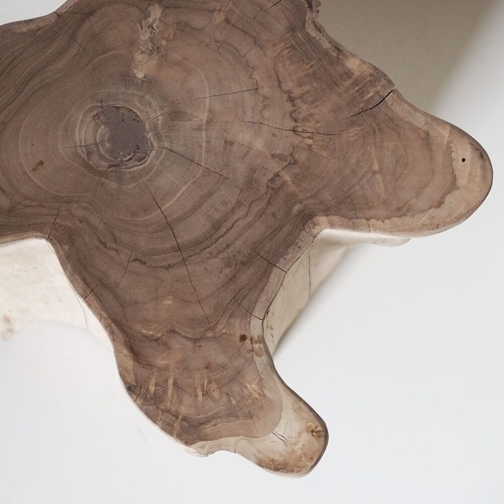 BOOMERANG-jakkara (#6) - Image 6